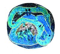 Life on Earth - A Space Water Loop