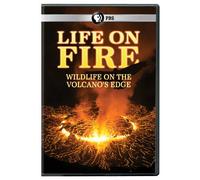 Life on Fire: Wildlife on the Volcano's Edge [USA] [DVD]