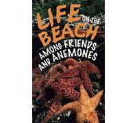 Life On the Beach: Among Friends and Anemones