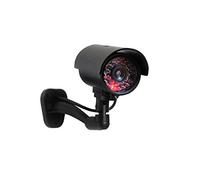 Lifebox camera01 Cámara falsa