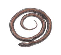 Lifelike Snake Toys Realistic Snake Figurine for Decor 2Pcs Plastic