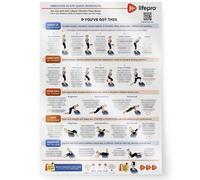 LifePro - Póster Laminado de Entrenamiento con Placa de vibración, sugerencias de Ejercicios para Entrenamiento de Todo el Cuerpo e Instrucciones detalladas en una práctica Tabla de Entrenamiento