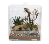 LifeTarrium 20 x 20 x 20 cm | Cristal acrílico transparente, puerta de trampa segura, tapa para iluminación, estructura modular, se puede desmontar para