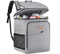 Lifewit Mochila Nevera Isotermica, Neveras Portatil, Cestas para Vajilla de Exterior y Picnic, Grande Mochilas Termica Porta Alimentos para Playa, Camping, Viaje, Gris, 26L