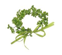 LIFKOME Diadema De San Tocado De Verde Para Mujer De Pelo De Accesorios De Hadas Para Niña Para Celebraciones De