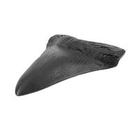 LIFKOME Réplica Megalodon Fósiles Paleontológicos Decorativos Adorno De Hogar Educativo Portátil