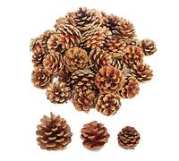 Lifreer 30 conos de pino secos naturales para Navidad, piñas para árbol de Navidad, decoración colgante, manualidades, marrón, 3 tamaños
