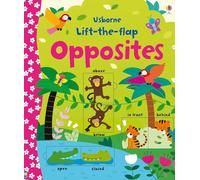Lift-the-Flap Opposites: 1 (Young Lift-the-flap)