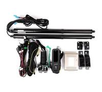 Liftgate Lift soporta Para Odyssey RC1/RC2/RC4 RB2 RB3 2008-2013 Amortiguadores Soporte Elevación Modificados Portón Trasero Eléctrico(RC2)