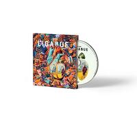 Ligabue - Dedicato A Noi