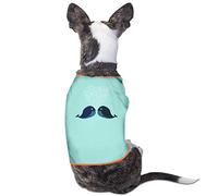 Light Crust Doughboys / Senator Bob Deuell - Senator & The Doughboys: Swingin' The Capitol