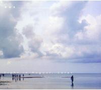 Light in August Later