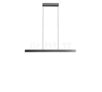 Light Point Edge Linear, lámpara de suspensión LED, titanio - 100 cm