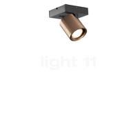 Light Point Focus, lámpara de techo LED 1 foco, oro rosa - 2.700 K