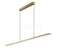 Light Point Slim, lámpara de suspensión LED, latón - 180 cm