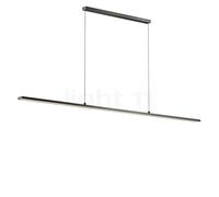 Light Point Slim, lámpara de suspensión LED, negro - 180 cm