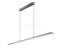 Light Point Slim, lámpara de suspensión LED, titanio - 180 cm