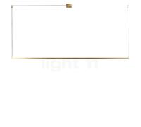 Light Point Stripe, lámpara de suspensión LED, latón - 200 cm