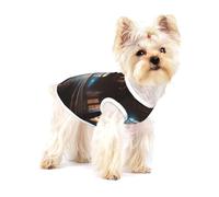 Light shines in through the window - Camiseta de alta calidad para perro, ropa suave 100% algodón para perros, perfecta para perros pequeños a medianos, camisas elegantes y cómodas para perros, talla