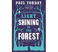 Light Shining in the Forest