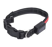 Light Up Dog Collar, LED Dog Collar Glow in The Dark de Seguridad Iluminable Ajustable USB LED Recargable para Acampar Nocturno para Caminar (L)