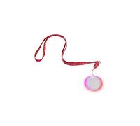 Light Up Necklace