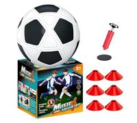 Light Up Soccer Ball - Musical Toy Set, Outdoor Parent Child Sports Gift | Standard Size | Light Up Musical Soccer Ball Set With Pump - Interactive Outdoor Training Toy For Kids Backyard Sports, Birth