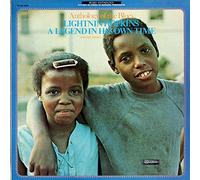 Lightnin' Hopkins - A legend in his own time-Archive series 8 (F) / Vinyl record [Vinyl-LP]