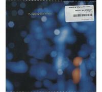 Lightning Seeds - All I want (1990) / Vinyl single [Vinyl-Single 7'']