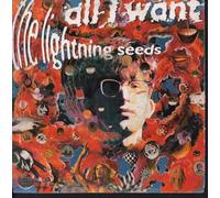LIGHTNING SEEDS - ALL I WANT 7 INCH (7" VINYL 45) BELGIAN INDISC 1990