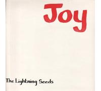 LIGHTNING SEEDS - JOY 7 INCH (7" VINYL 45) UK GHETTO 1989