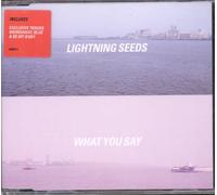 Lightning Seeds - What You Say