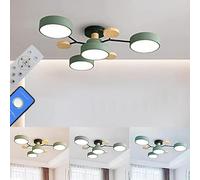 Lights Ceiling Bed LED Pendant Light, 26 Inch Light, 48W Intelligent Remote Control dimming Light, 3000K/4000K/6000K Green