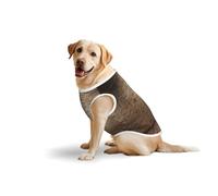 Lights Hit The Brick Wallprint - Chaleco grande para mascotas, transpirable, ligero, sin mangas