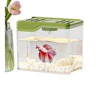 Lightweight Desktop Fish Tank, Sturdy Aquarium Bowl with Colorful LED Lighting, Decorative Home or Office Aquarium, Ideal para Family Friends Colleagues, Desk Or Room Decor