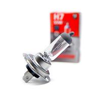 LightWorld24 2 bombillas H7 PX26d PX26d 55W Blanco 12V