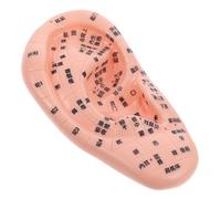 LIGIGWASH Modelo De Acupuntura De Oído Para Formación Reflexología y Masaje Modelo De Precisión De Puntos De Acupuntura Para Educación Tcm y Entrenamiento Práctico