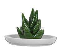 LIGIGWASH Plato Organizador de Joyas de Cerámica con Soporte para Anillos Forma de Aloe Bandeja Decorativa para Anillos Pulseras y Collares para Exhibir y Almacenar Joyería Pequeña