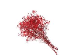 LIGIGWASH Ramo de Flores Preservadas Rojas de Gypsophila, Flor Seca Ornamental Que No se Desvanece, Adecuado para Decorar Cajones y Refrescar el Ambiente en Navidad o San Valentín