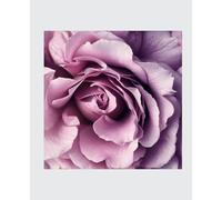 LIGNE CLAIRE EDITION FINE ART COMPOSITION NOTEBOOK. Lavender Bloom. 7.5” x 9.25” Matte Cover. 160 Lined Pages. Everyday Luxury. From the Archives of Artist Jeanne Conte: Everyday Luxury