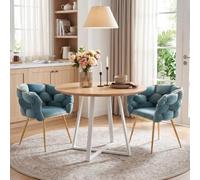 Ligterra Juego de 2 sillas de comedor, sillas de comedor, sillas de cocina, sillones, sillas de lectura, tapizado de terciopelo, estructura de metal de lujo, para comedor, sala de estar, dormitorio