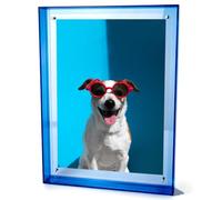 Ligtmor Marco de Fotos de Acrílico Neón con Tornillos 4x6(10x15 cm) / A4(21x30cm), Marco Flotante Transparente Decorativo para Mesa y Pared, Soporte de Exhibición Colorido (Color Azul, 26 x 35 cm)