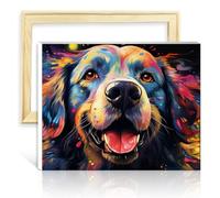 LiHEQING Kits de pintura al óleo, diseño de perro cielo estrellado para adultos, kits de pintura por números con pinceles y pigmento acrílico, marco de pintura numérica (30 x 40 cm)