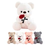 LIHIQIYA Oso de Peluche con Rosa, Regalos Día de la Madre 25cm Oso de Peluche Osito Peluche Tierno Juguete de Peluche con Blanco Regalo de Sant Jordi Aniversario Cumpleaños Originales para Mujer Mamá