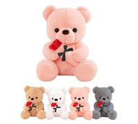 LIHIQIYA Oso de Peluche con Rosa, Regalos Originales para Mujer, 25cm Rosa Oso de Peluche Osito de Peluche Tierno Juguete de Peluche con Rosa Sant Jordi Regalo de Pascua Cumpleaños para Mujer Amiga