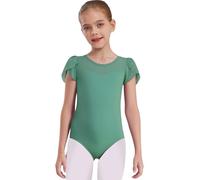 LiiYii Chicas Gimnasia Leotardo Body Danza Clásico Gimnasia Artística Ballet Body Patinaje Artístico Manga Abultada Traje Deportivo Entrenamiento Tutu, verde, 2-3 Años