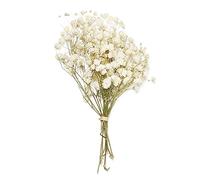 LIJUCAI Mini Ramo de Flores Decorativas de Flores secas, Plantas Naturales preservadas Florales para la decoración del hogar de la Boda, Beige