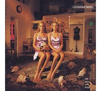 Like Cats & Dogs by Catherine Wheel (1996) Audio CD