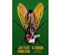 Like Flies from Afar: A Novel