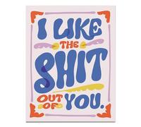 Like the Shit Out of You Greeting Card (Em & Friends Greeting Cards)
